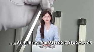 Spazzola in acciaio per macchina da stampa SM102 CD102 XL105 XL106 66.024.024 di alta qualità